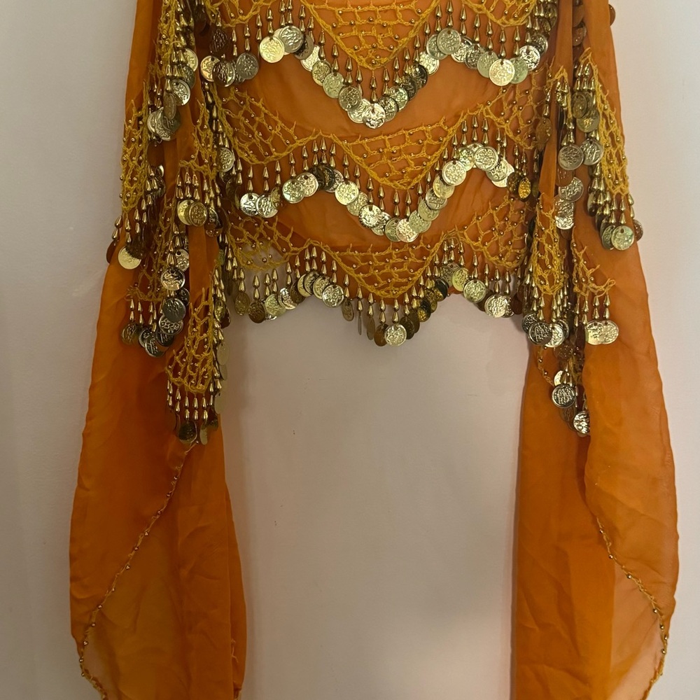 Belly Dance coin hip Scarf